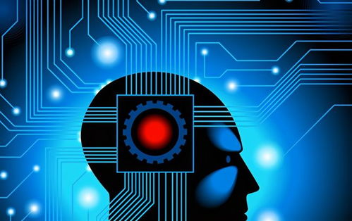 人工智能算法碎片化之謎 計算機視覺的 Bug 歧途與技術開發路徑